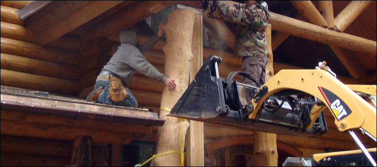 Log Home Log Replacement  Alpine, Alabama